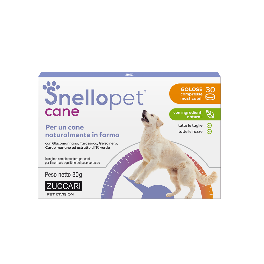 Snellopet Cane