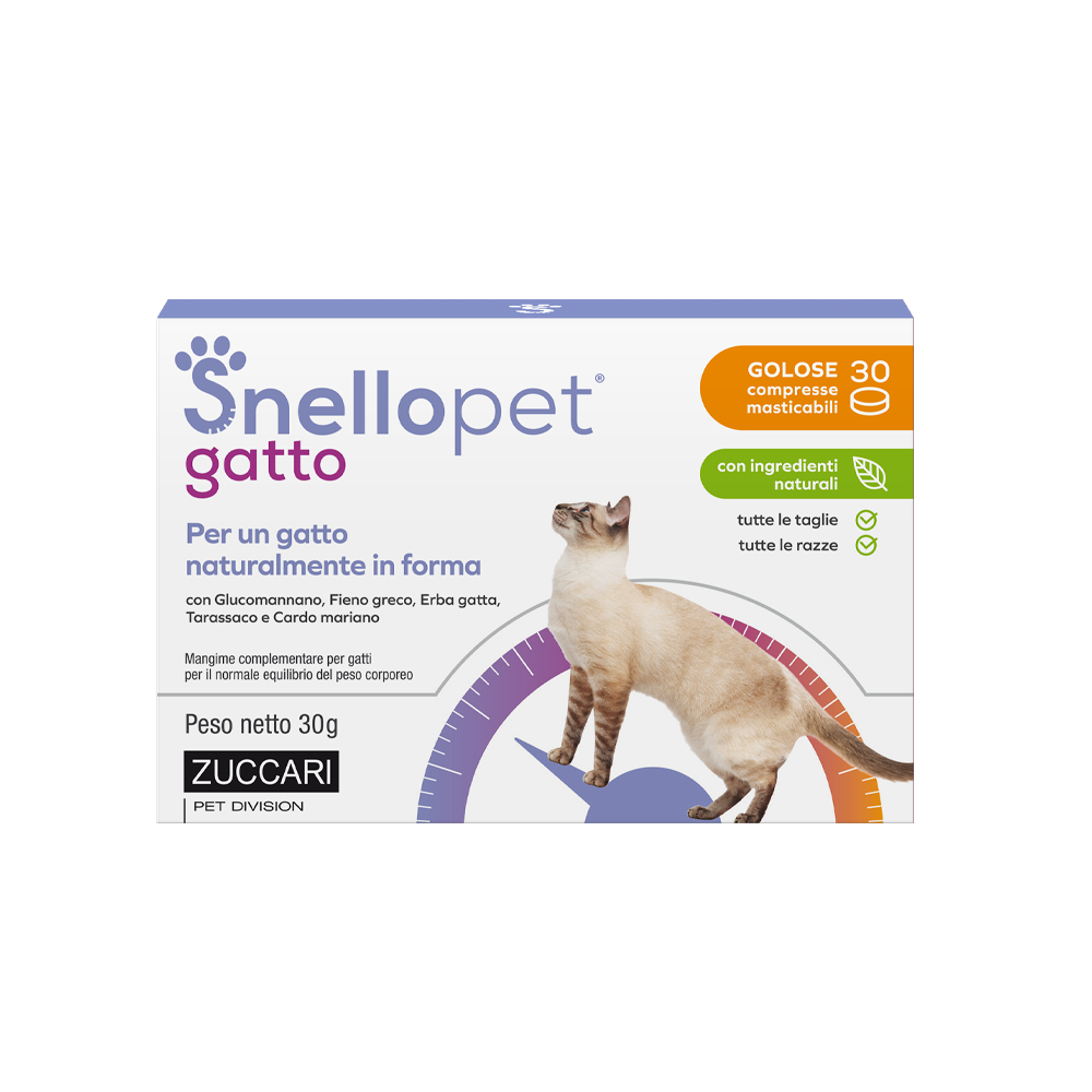 Snellopet Gatto