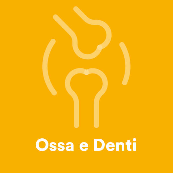 Fronte