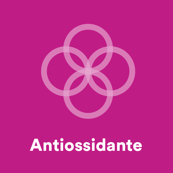 Fronte