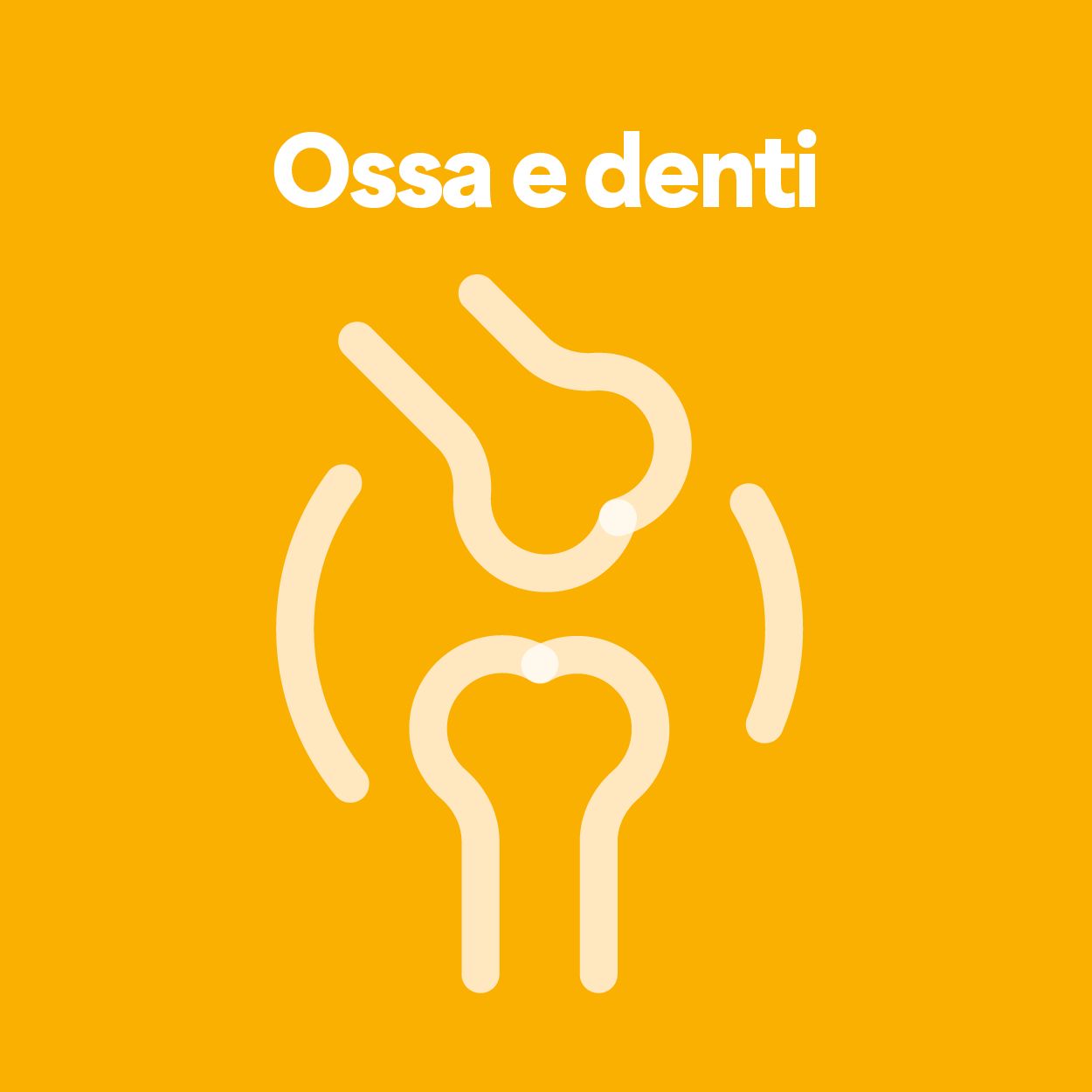 Fronte